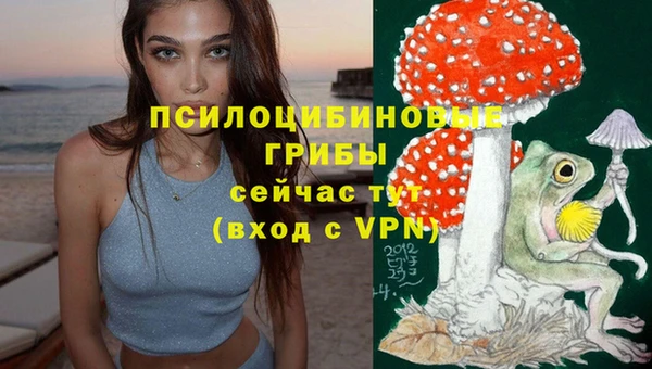 шишки Кулебаки