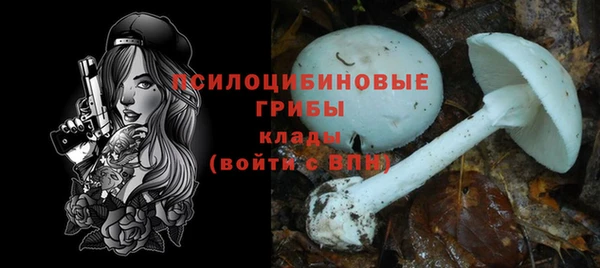 ешки Майский
