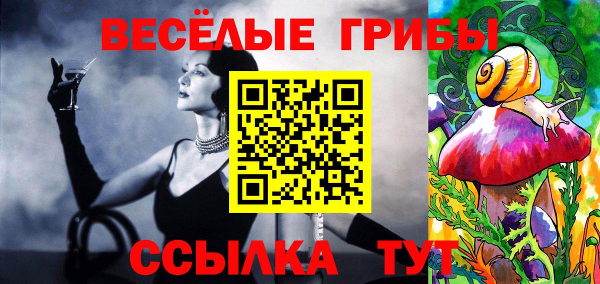 Псилоцибиновые грибы GOLDEN TEACHER  Вход с VPN  Мелеуз 