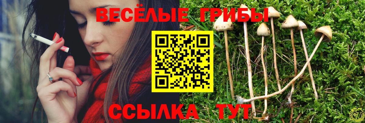 Псилоцибиновые грибы Cubensis Мелеуз